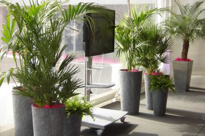 location plantes Laval 53, Saint Brieuc 22